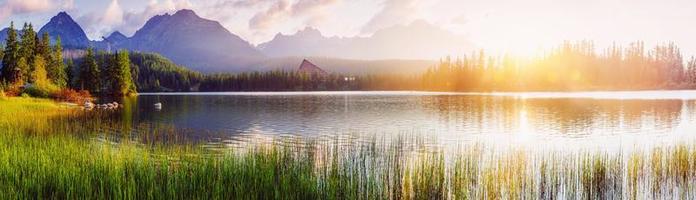 sunday-banner